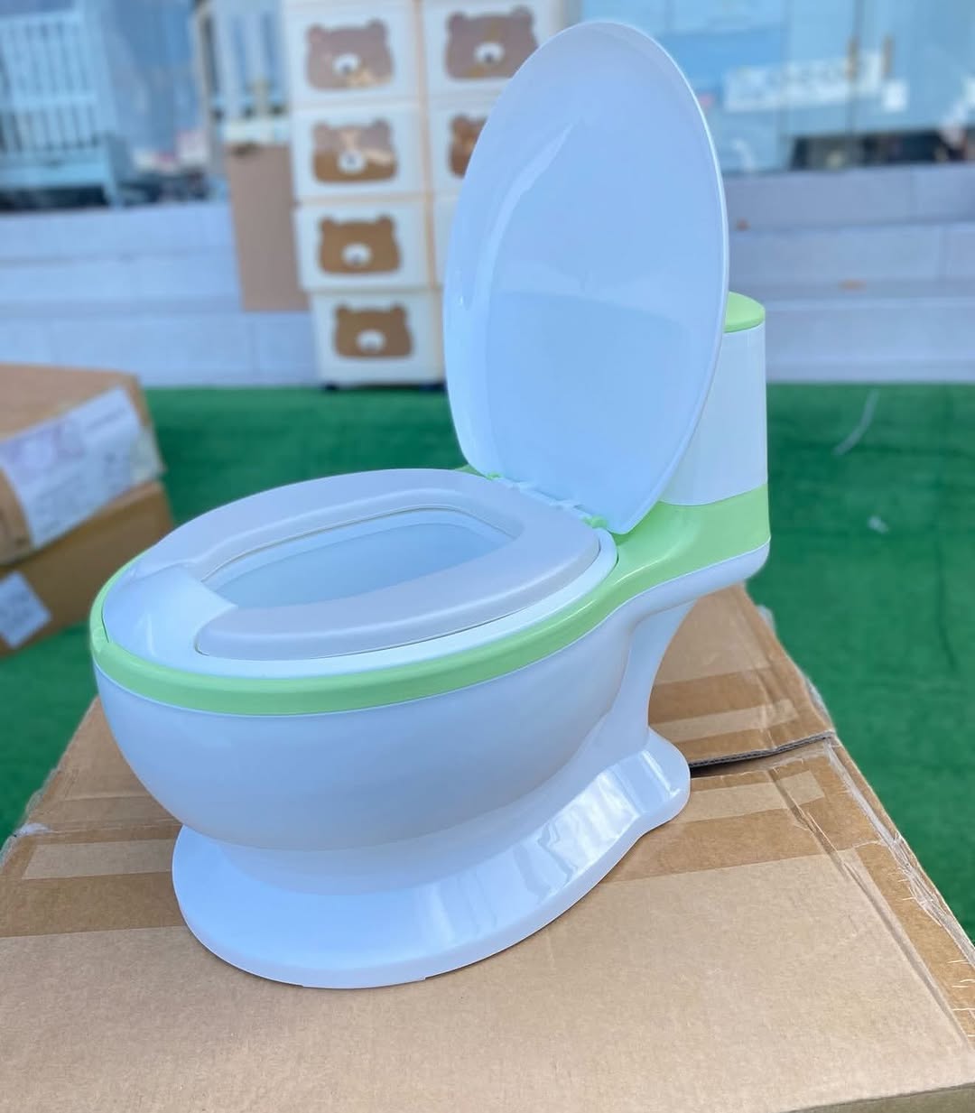 Potty Seat